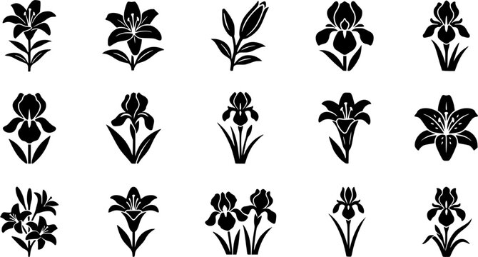 Lily Silhouette Icons &ndash; Iris Botanical Flower Vector Bundle
