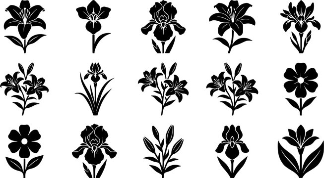 Lily Silhouette Icons &ndash; Iris Botanical Flower Vector Bundle