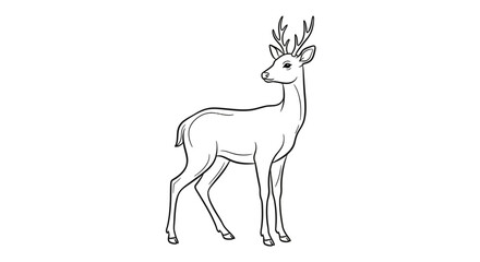 Fototapeta premium A simple line drawing of a deer.