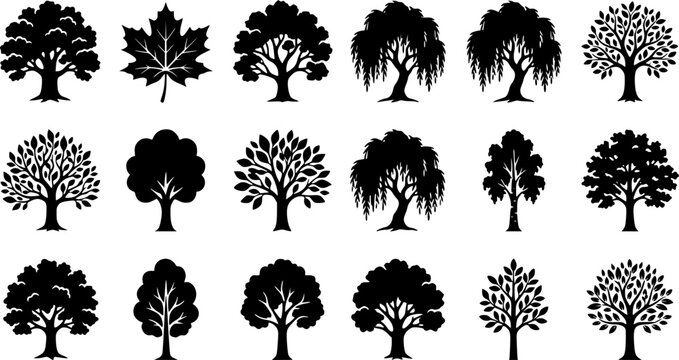 Oak & Deciduous Trees silhouette icon set, flat black glyph style, pure white background