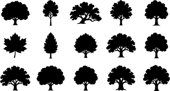 Oak & Deciduous Trees silhouette icon set, flat black glyph style, pure white background