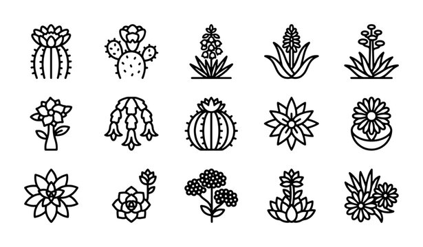 Minimalist succulent and cactus icon set, 15 black and white line art vector illustrations, modern botanical plant collection for web design and app interfaces