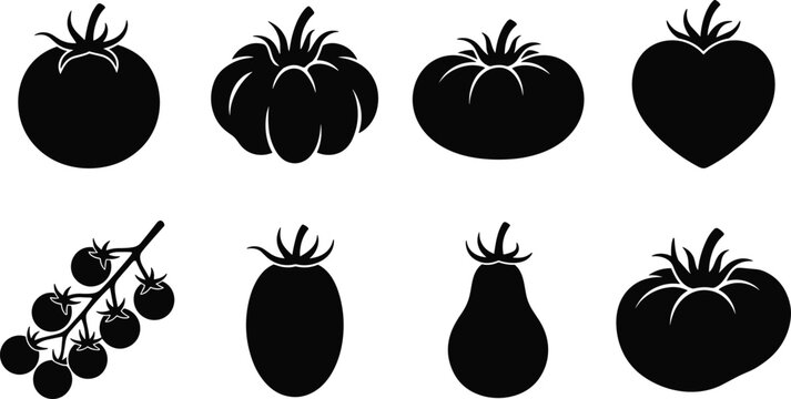 Tomato Silhouette Set with Different Shapes and Varieties Vector Icon Collection