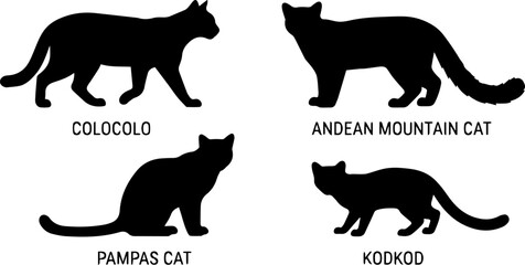 Palo Cat and Andean Mountain Cat Silhouette Set – Wild Feline, South American Wildlife Icons  © MinhajulIslam
