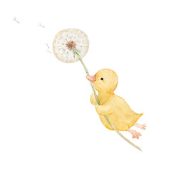 Fototapeta premium Cute Baby Duckling Holding a Dandelion Watercolor Illustration