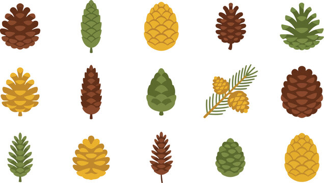 Set of colorful pine cones and evergreen tree leaves in a flat vector icon style