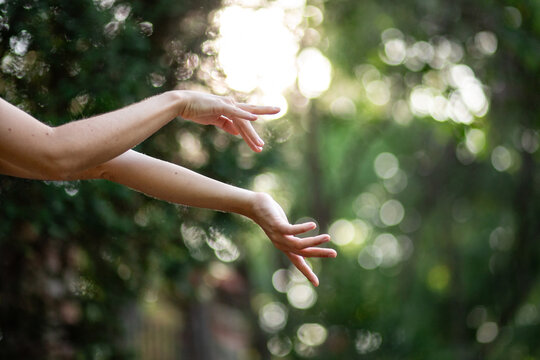 Graceful hand gesture in sunlit forest bokeh background
