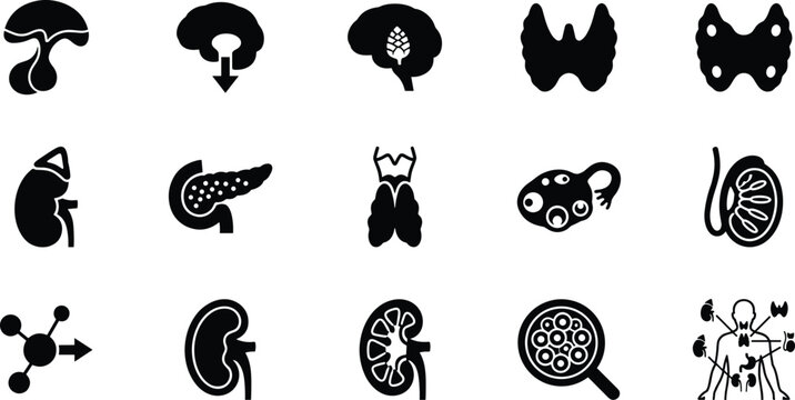 Medical black and white icons of human organs and cells