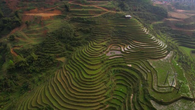 Cinematic aerial video of mesmerizing lush green rice terraces in Sapa, Vietnam with surrounding tall mountains covered in fog with sun shinning through
