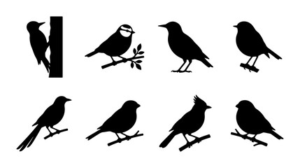 Obraz premium Vector Bird Silhouettes Collection, Nature Wildlife Icons, Ornithology Study Graphics