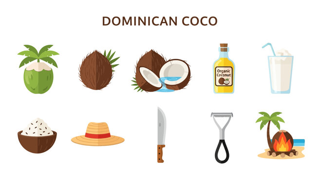 Fresh Coconut Products and Ingredients Flat Lay on White Background