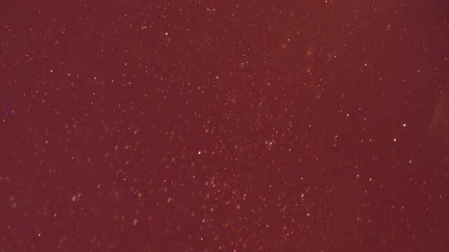 Defocused shine particles. Light glitter dot. Red orange circle stream blend glowing powder. Art color bokeh luminosity abstract background.
