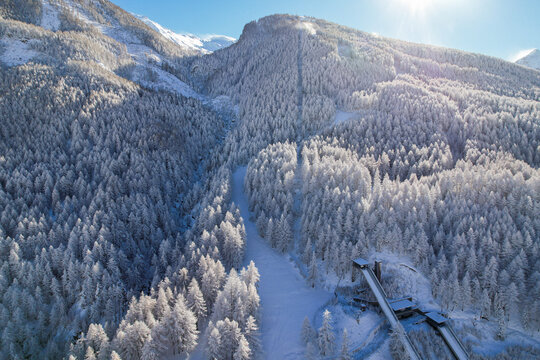 Aerial view of Stadio Olimpico del Salto nestled within a dense forest of snow-covered pine trees under bright winter sunlight in Pragelato, Piedmont, Italy.