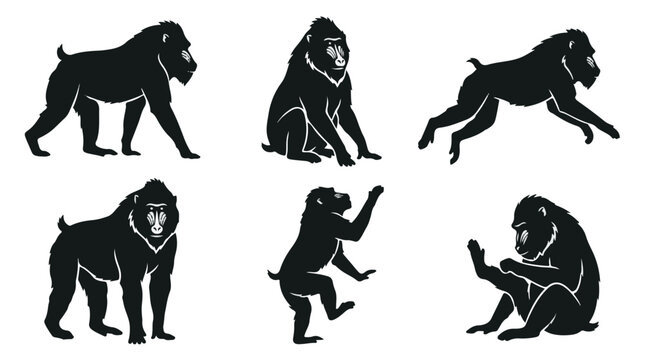 Mandrill silhouettes in various poses on white background
