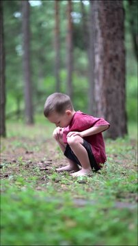 Young boy in red shirt squats in lush pine forest, collecting pinecones and tossing them aside.