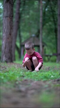 Curious child in red t-shirt explores pine forest floor. Squatting among tall trees, he gathers pinecones and throws them to the side.