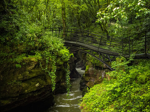 Scenic suspension bridge over the canyon of the Abasha River in Martvili, Georgia. Lush canopy frames