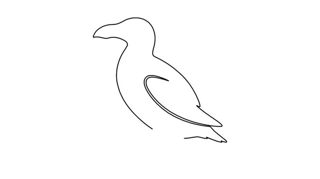 Minimalist continuous line drawing of seagull bird silhouette on white background.