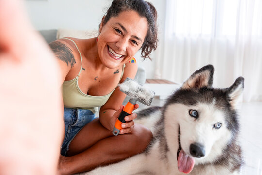 Smiling woman grooming Siberian husky at home