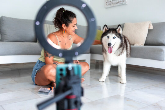 Husky care routine filmed at home with grooming and tips