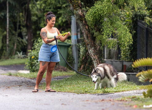 Woman preparing waste bag while husky poops outdoors