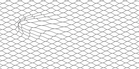 Mesh texture for fishing nets. Seamless pattern for sportswear or soccer goal, volleyball net, basketball hoop, hockey, athletics. Abstract net background for sports © SOFI