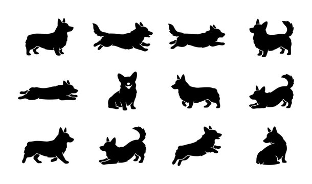 Corgi Dog Silhouettes: Playful Poses, Active Movements, Vector Icons for Pet Lovers