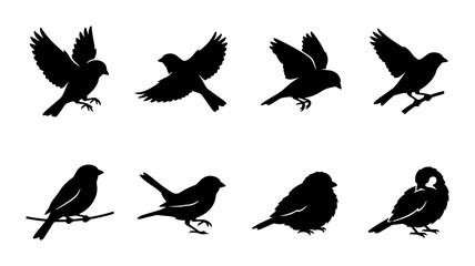 Fototapeta premium Bird Silhouettes Collection: Flying, Perching, and Resting Sparrow Icons for Nature and Wildlife Design