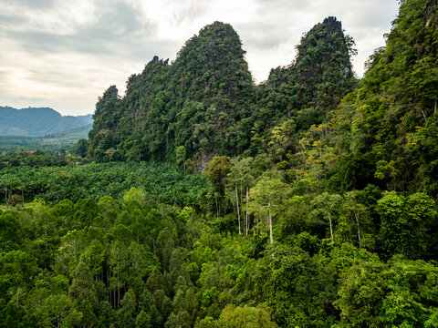 Tropical forest and limestone karst on Koh Tao, Thailand