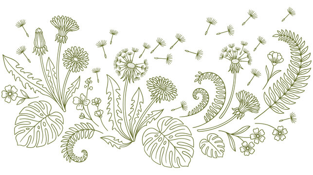 Floral pattern design featuring dandelions and exotic monstera plant leaves.