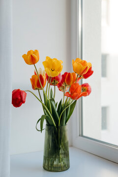 Colorful tulip bouquet in glass vase on bright windowsill