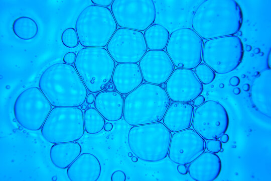 Abstract blue liquid bubble cells as science background texture