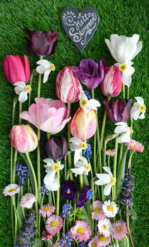 Spring flower flat lay with hello spring sign on grass