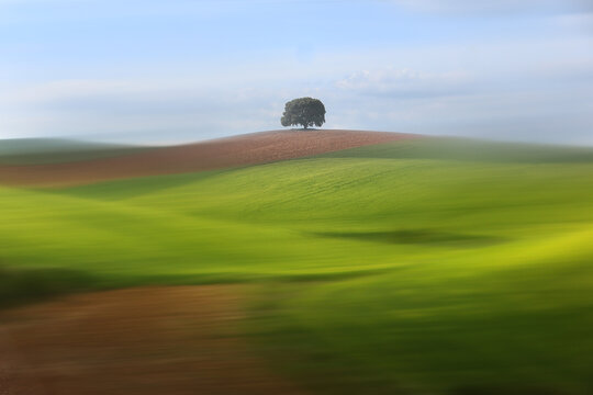 Fine art color view of crop fields in Guadalajara, Spain