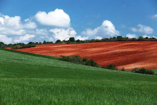 Colorful crop fields in Guadalajara, Spain under clouds