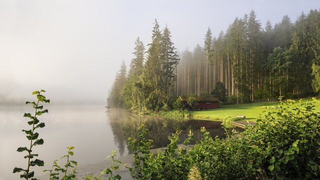 Lake Blaibach on a misty morning with sunshine. Blaibach, district of Cham, Upper Palatinate, Bavarian Forest, Bavaria, Germany