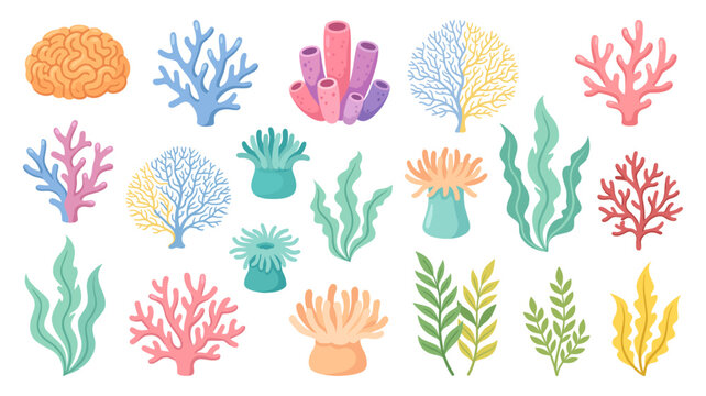 Seaweed and coral reef set with underwater ocean plant anemone