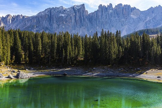Emerald green Lake Carezza, behind a spruce forest and the peaks of the Latemar, Dolomites, South Tyrol, Italy