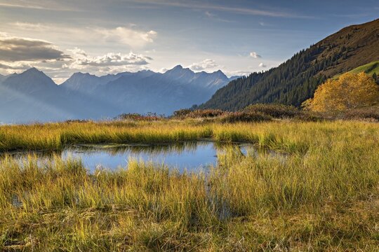 Autumn mountain landscape with small pond, behind it the Inn valley and the Karwendel mountains, Naunz, Tux Pre-Alps, Tyrol, Austria