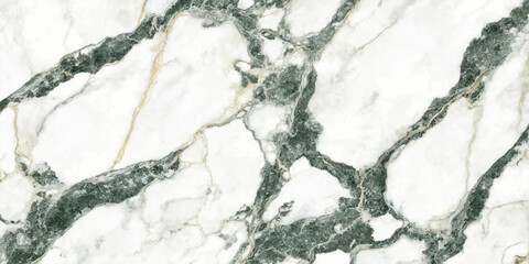 A close-up abstract texture of white marble with striking dark green veins and subtle golden highlights, showcasing natural mineral patterns and organic beauty. © Mustarin