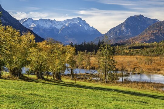 Autumn landscape with moorland Seven Springs and Zugspitze Group 2962m in the Wetterstein Mountains, Eschenlohe, Loisach Valley, The Blue Land, Upper Bavaria, Bavaria, Germany