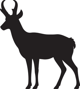 Detailed black silhouette of a pronghorn standing still against a clean and bright white background