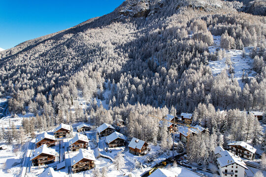 Aerial view of snow-covered wooden chalets nestled in a dense pine forest in the mountain village of Pragelato, Piedmont, Italy.