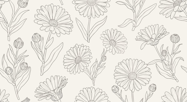Elegant seamless pattern of hand drawn calendula or marigold flowers and buds in delicate black line art style.
