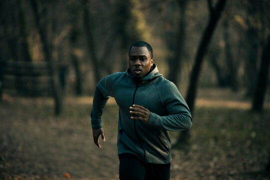 Athletic man running on forest trail at dusk