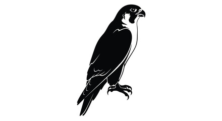 Detailed black falcon silhouette against a white background a striking vector illustration of avian wildlife silhouette bird raptor predator feathered © Creativekhairul02