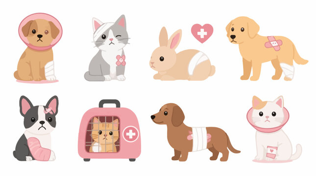 Injured cartoon pets with medical bandages and cones