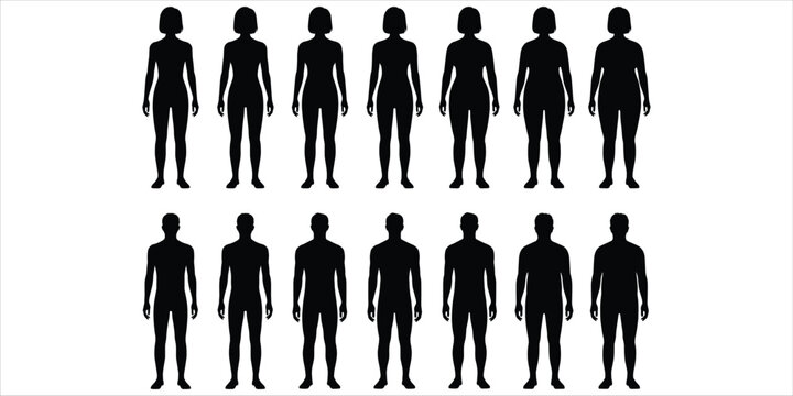 Collection of Male and Female Body Silhouettes Showing Different Body Types Keywords: silhouette, body shape, human figure