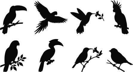 Naklejka premium Bird Silhouette Collection with Flying Perching Tropical and Songbird Vector Illustration Set