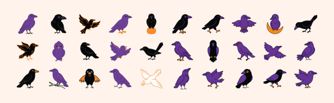 Set of various raven and crow bird silhouettes in purple and black white background color black with silhouette wildlife collection standing white background and color black